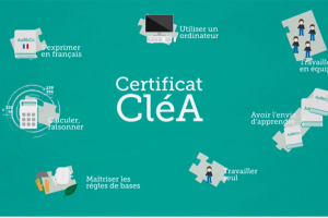 Socle de connaissances et compétences professionnelles